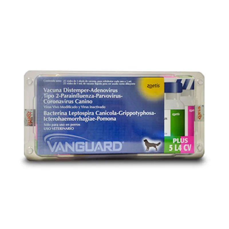 VANGUARD PLUS 5 L4 CV